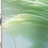 chat with ai character: Doggy Down