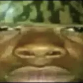 creator Mensballzsweat's avatar
