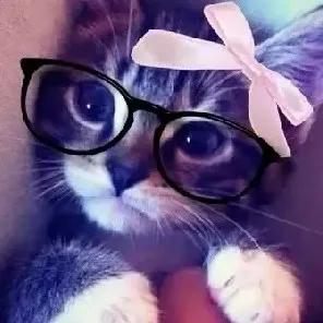 creator ~💗𝐶𝑜𝑐𝑜💗~𝐿𝑜𝑣𝑒~💗's avatar
