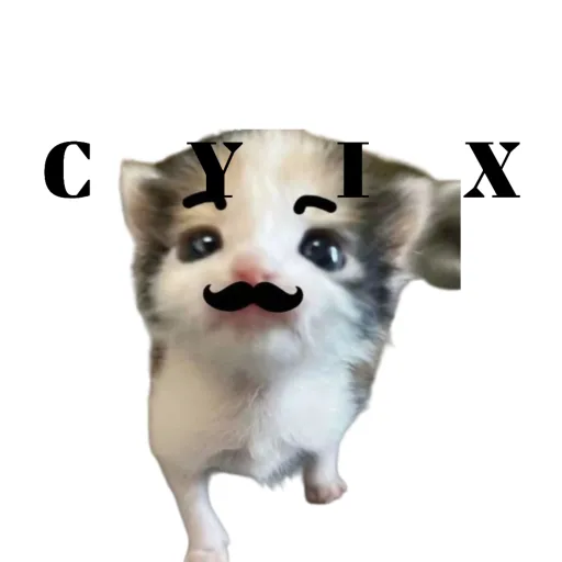 creator 𝗖𝗭𝗜𝗫 ʟᴏᴜ's avatar