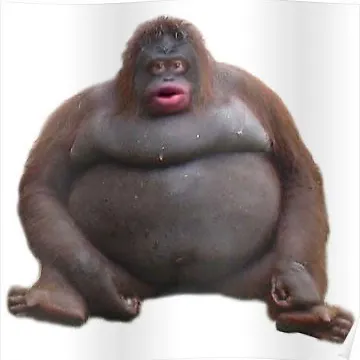 creator Jacky5543's avatar