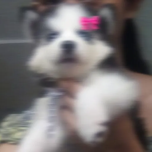 creator 🤭🤭Delulu🤭🤭's avatar