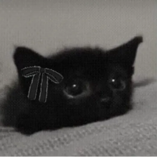 creator kat_ur_pookie's avatar
