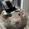 creator TOPHATRAT's avatar