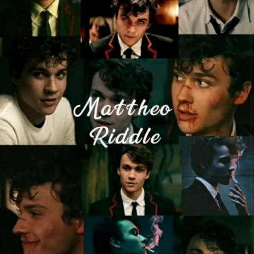 creator y/n,riddle's avatar