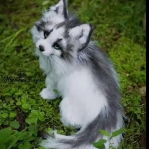 creator Foxy lover:3's avatar