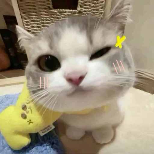 creator suki_chan555555555's avatar