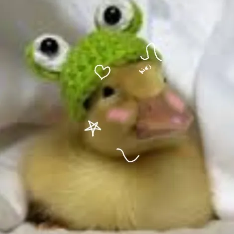 creator ilove_duckys♡'s avatar