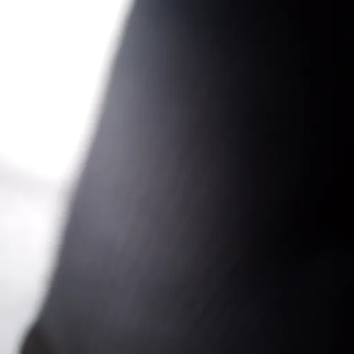 creator xbjdjfjjd's avatar