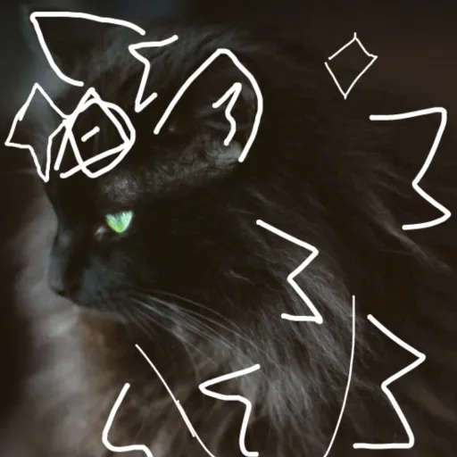 creator ☆PhoenixOnPawz☆'s avatar