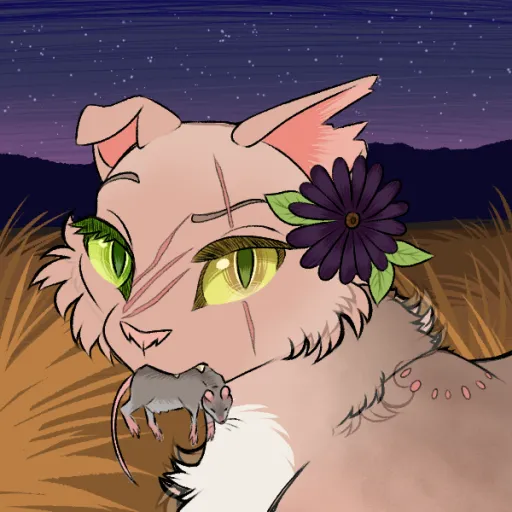 creator Ms. Cloe's avatar