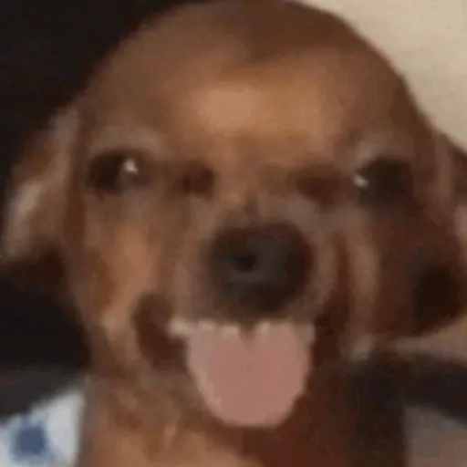 creator FrEaKy_GuRl's avatar