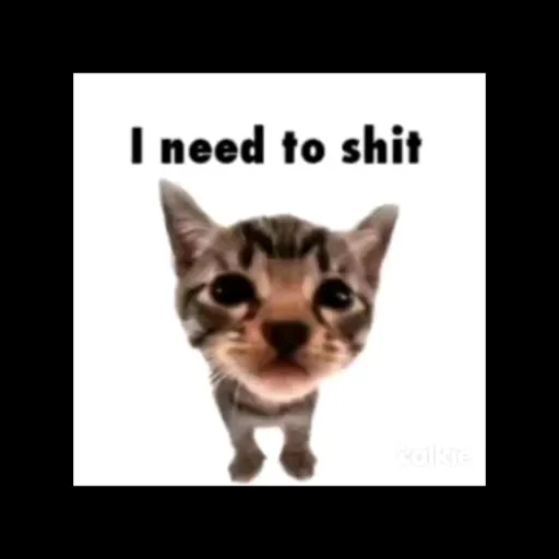 creator Leo_demise.catt's avatar