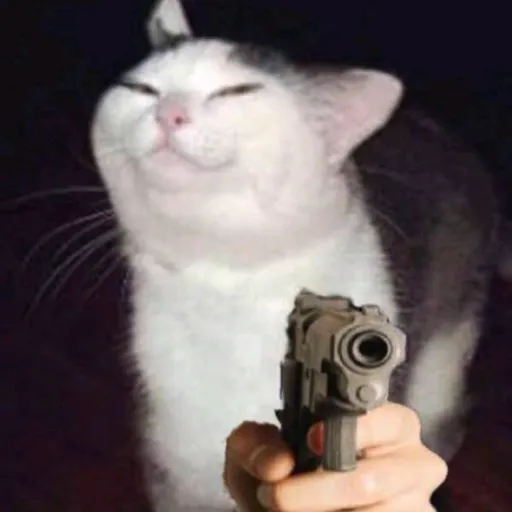 creator acenthehole's avatar