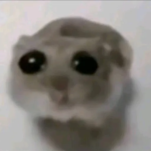 creator sadhhamster's avatar