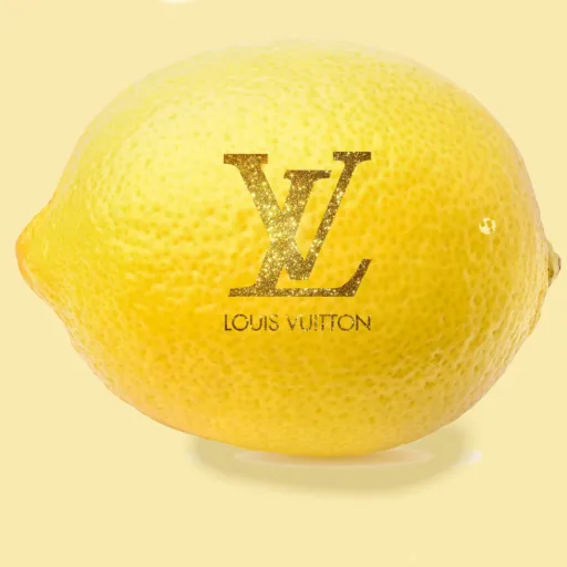 creator LouisVuittonLemon's avatar