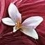 chat with ai character: Robot flower 