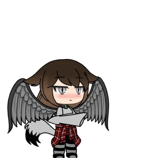 creator angeli'mY/N's avatar