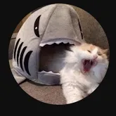 creator RAHHHHAHAHH's avatar