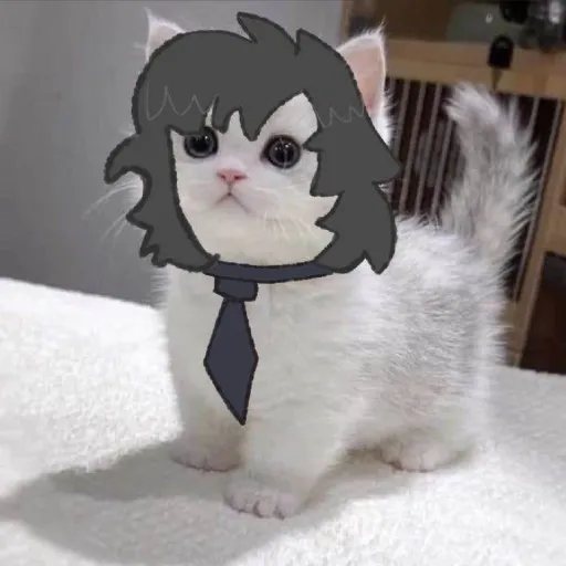 creator ~𝒾𝓂 𝒿𝓊𝓈𝓉 𝒶 𝑔𝒾𝓇𝓁~'s avatar