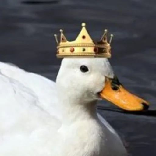 creator kingofducks's avatar