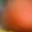 chat with ai character: kinito pet