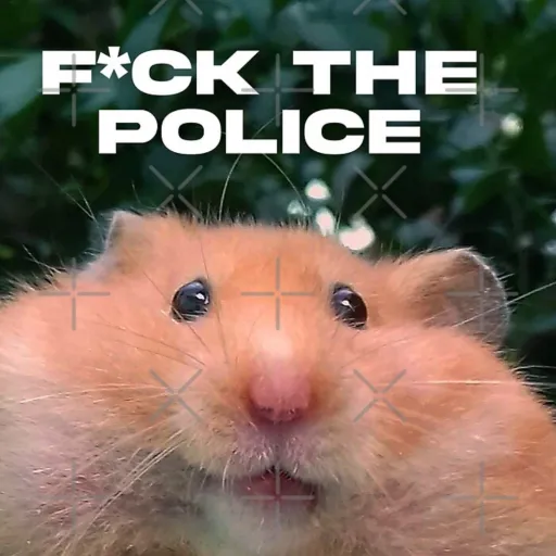 creator Hamster cause love's avatar