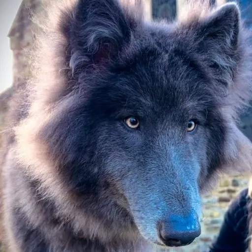 creator Jack#AntiFurry's avatar