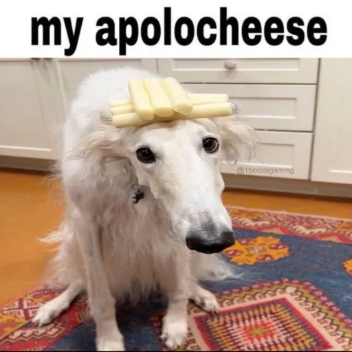 creator Babbooey's avatar