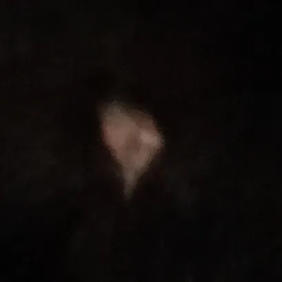 creator bociksamolocik13's avatar
