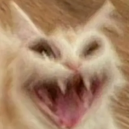 creator ilysmiwtwwtftroyl9's avatar