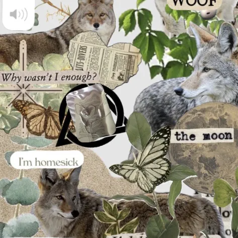creator ~•Molly•~'s avatar