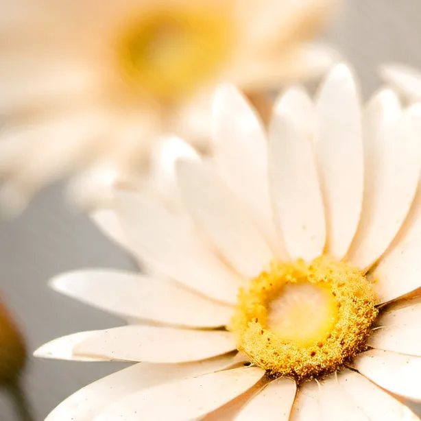 chat with ai character: bakugo