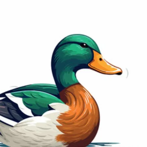 creator Ducky 🦆🦆🦆's avatar