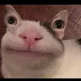creator GeneralKevin2's avatar