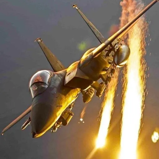 creator Swedish Frigate's avatar