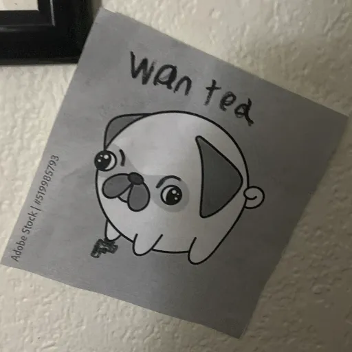 creator PUGGY king's avatar