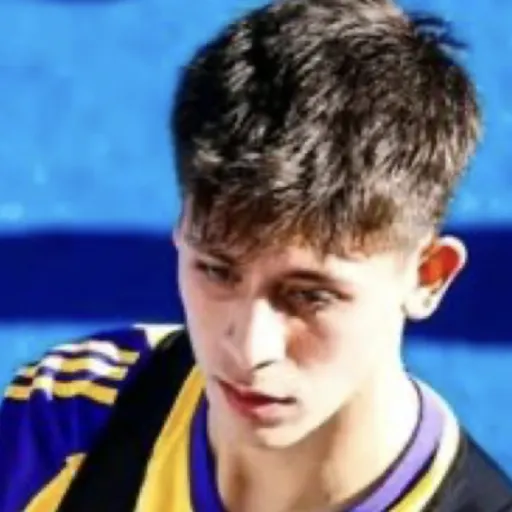 creator Arda Guler's avatar