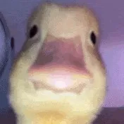 creator Duckysarefunny's avatar