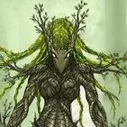 creator nora nature's avatar