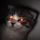 creator Wyrox75755's avatar