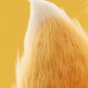 chat with ai character: Tails