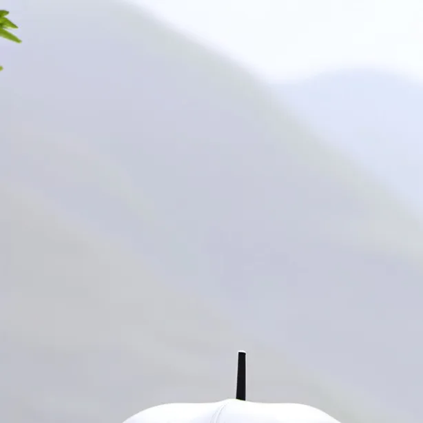 chat with ai character: Stray kids concert