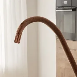 chat with ai character: Hose