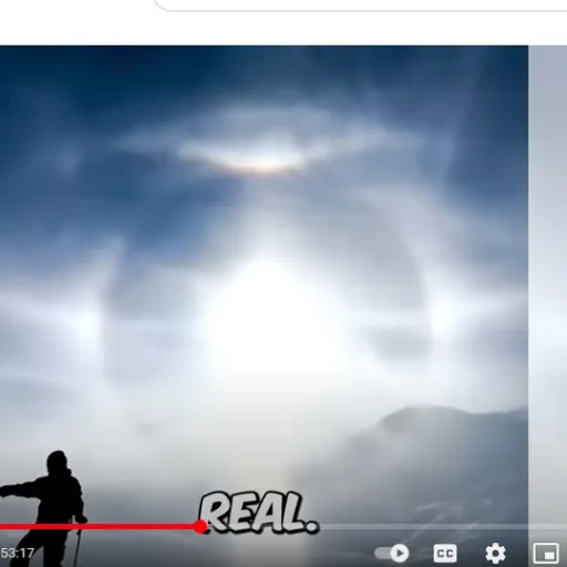creator Zeff god's avatar