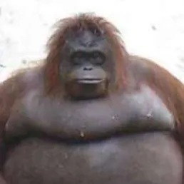 creator erecterion's avatar