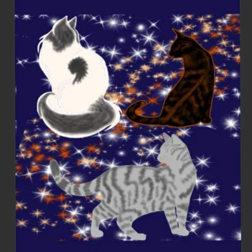 creator StarryRainEmbers's avatar