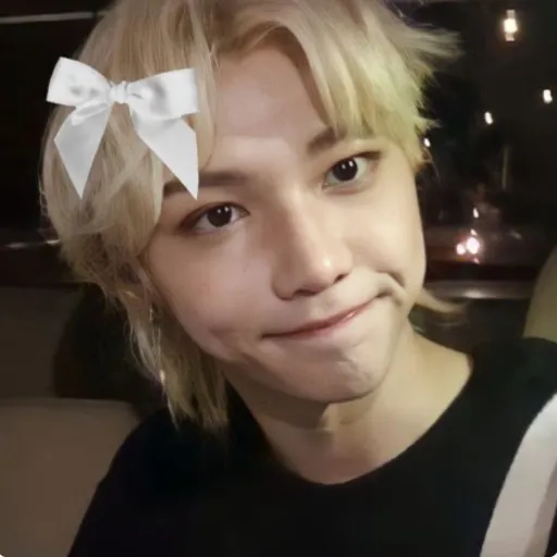 creator Straykids-fan01's avatar