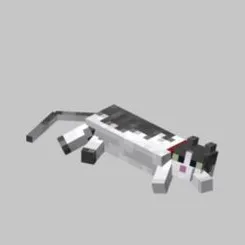 creator ~•Sølař•~'s avatar