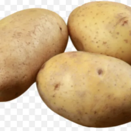creator POTATO_LORD1234's avatar